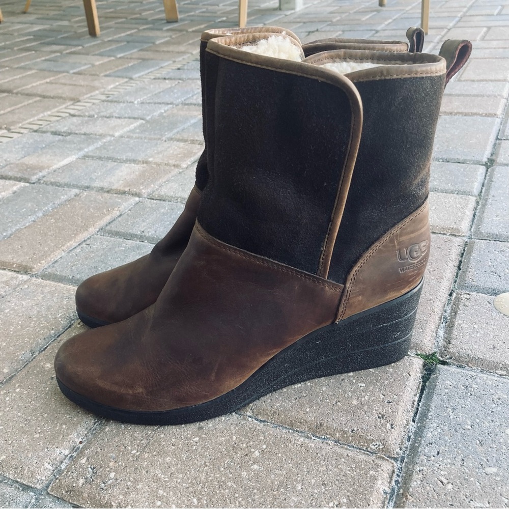 UGG Women's Renatta Stout Brown Wedge Boots